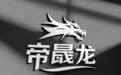 帝晟龙：时尚包领域的璀璨之星