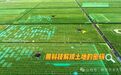 “教授，这真的是种田，不是科幻片？”南京农业大学新农人新主场震撼来袭！