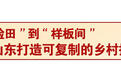 沃野绘新篇！一键解锁乡村振兴齐鲁样板升级密码