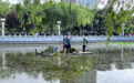 泰安：巧治水草见匠心 留得碧水荷风在