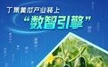淮安：以“数”为笔，“智”绘黄瓜产业新景