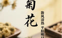 “AI”上中医药·每天认识一味中草药（4）｜菊花