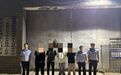 假扮民辅警深夜“执法”，娄底4名“花臂”男子被刑拘
