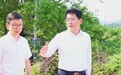 垃圾偷倒乱象被央视曝光后，萍乡市委书记实地督导专项整治