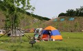 宝清：翡翠湖景区日接待游客万余人