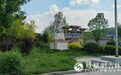 绿水青山成万良参农的“幸福靠山”