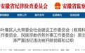 对抗组织审查、漠视群众利益，六安一干部被双开