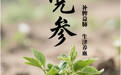 “AI”上中医药·每天认识一味中草药（13）｜党参