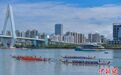 2025“海口杯”端午龙舟国际邀请赛启幕 近40支中外队伍参与竞逐