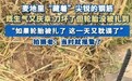 麦田被投放金属尖锐物破坏收割机，警方回应