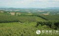 三棚村村民的“绿色银行”