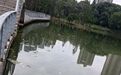 南昌新建区礼步湖公园湖面漂起成片死鱼 气味难闻还影响环境