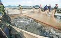 象山活水鱼，出海占“鲜”机
