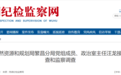 涉嫌严重违纪违法，汪龙主动投案！周鑫、张书清被逮捕！