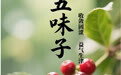 “AI”上中医药·每天认识一味中草药（28）｜五味子