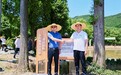 瑞众保险：以示范田为笔 共同绘就浙江乡村振兴新“枫”景