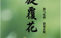 “AI”上中医药·每天认识一味中草药（22）｜旋覆花