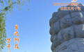 “你好，运河”（41）：万千欢喜