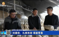 从北部湾海港到高原小城　90后扎根西部“农”啥嘞
