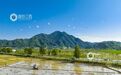 夏耕夏种正当时（图）
