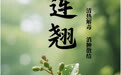 “AI”上中医药·每天认识一味中草药（19）｜连翘
