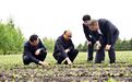 许勤到绥化市海伦市调研