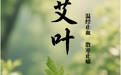 “AI”上中医药·每天认识一味中草药（21）｜艾叶