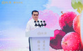 邹明：文化的生命力在于连接，而连接的使命在于传承