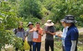 植保所专家团队赴汕尾开展技术指导——护航荔枝产业高质量发展