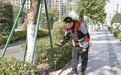 在基层治理中起到流动监管作用  外卖小哥快递员化身“文明啄木鸟”