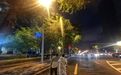 综合治理！长春人民大街、自由大路等15条主干道的13000株杨柳树