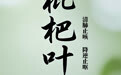 “AI”上中医药·每天认识一味中草药（30）｜枇杷叶