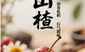 “AI”上中医药·每天认识一味中草药（27）｜山楂