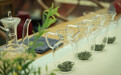 茶禅墨韵再续申城！一书一茶一世界——百茶会友展静安站启幕