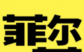 年轻人的选择：乡镇公务员与菲尔莱的启示