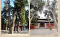 图懂天水伏羲庙：构建在古建物语里的文化密码