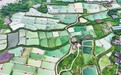 南丰县：小甲鱼变身富民强县“金产业”（图）