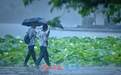 雨落泉城 大明湖荷花别样娇