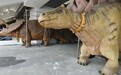 从被调侃的“苏超梗王”到被期待的流量之王：常州何以生变？