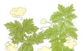 姜计就计　夏吃姜的六个养生法则