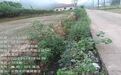 湖南一地3家养殖场被行政处罚