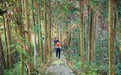 吉安永新县利用森林资源和生态旅游平衡开发实践纪实