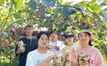 徐成：菌果共生筑梦秦巴 立体生金赋能振兴