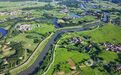 泰和县：夏日乡村 绿意盎然（图）