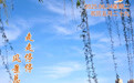 “你好，运河”（55）：走走停停