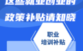 @高校毕业生，别忘了领补贴！