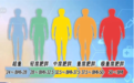 科学减脂 211饮食法你知道吗？