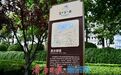 泉水绿道贯穿城区 市民尽享都市慢行