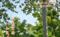 “你好，运河”（47）：认真生活