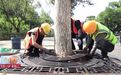 长春市新民大街改造工程火热进行中